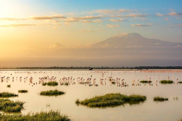 Des hauteurs du Kilimandjaro aux plages de Diani de la Tanzanie au Kenya - 3* pas cher photo 7