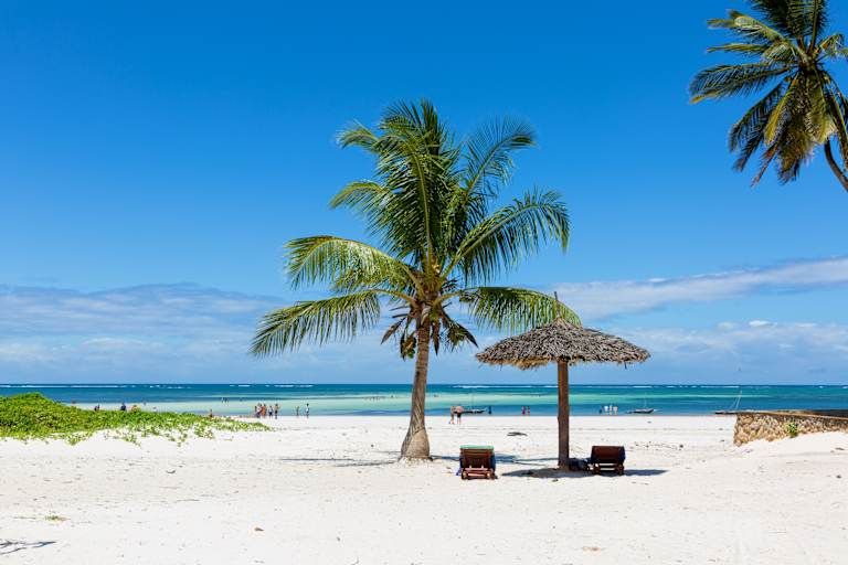 Des hauteurs du Kilimandjaro aux plages de Diani de la Tanzanie au Kenya - 3* pas cher photo 9
