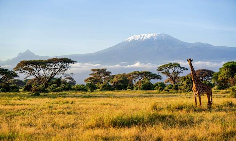 Des hauteurs du Kilimandjaro aux plages de Diani de la Tanzanie au Kenya - 3* pas cher photo 11