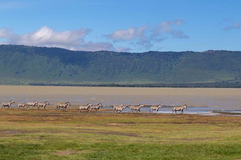 Des hauteurs du Kilimandjaro aux plages de Diani de la Tanzanie au Kenya - 3* pas cher photo 14