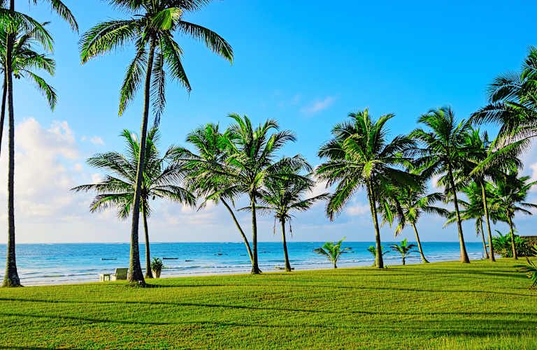 Des hauteurs du Kilimandjaro aux plages de Diani de la Tanzanie au Kenya - 3* pas cher photo 15