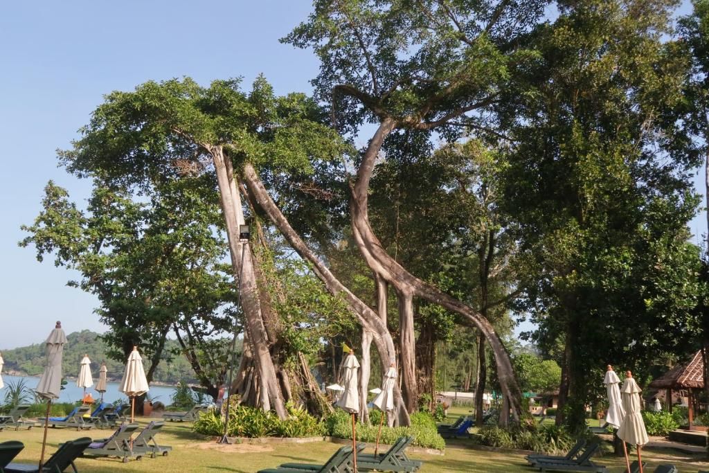 Hôtel Khaolak Merlin Resort 4* pas cher photo 2