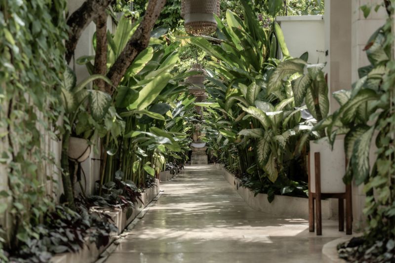 La Vie Villa 4* pas cher photo 2