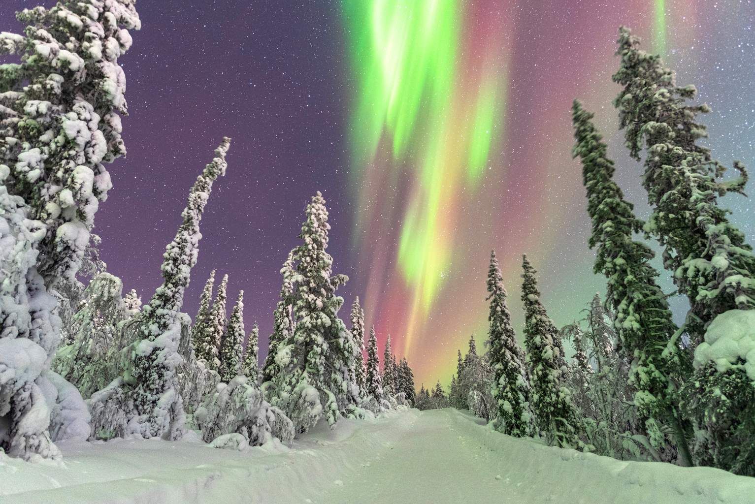 Séjour d'Hiver au Pays du Père Noël pas cher photo 1