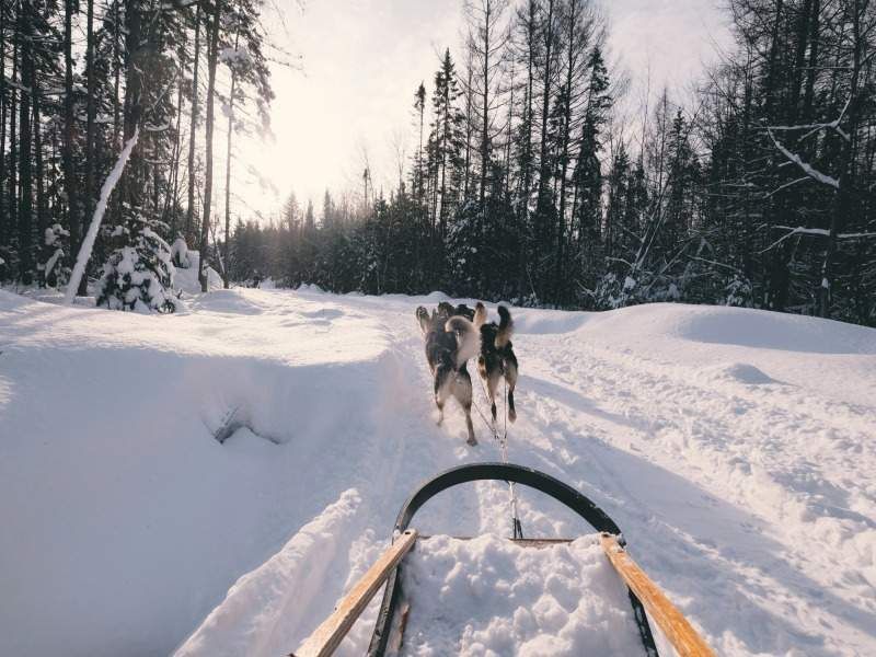 Séjour d'Hiver au Pays du Père Noël pas cher photo 10