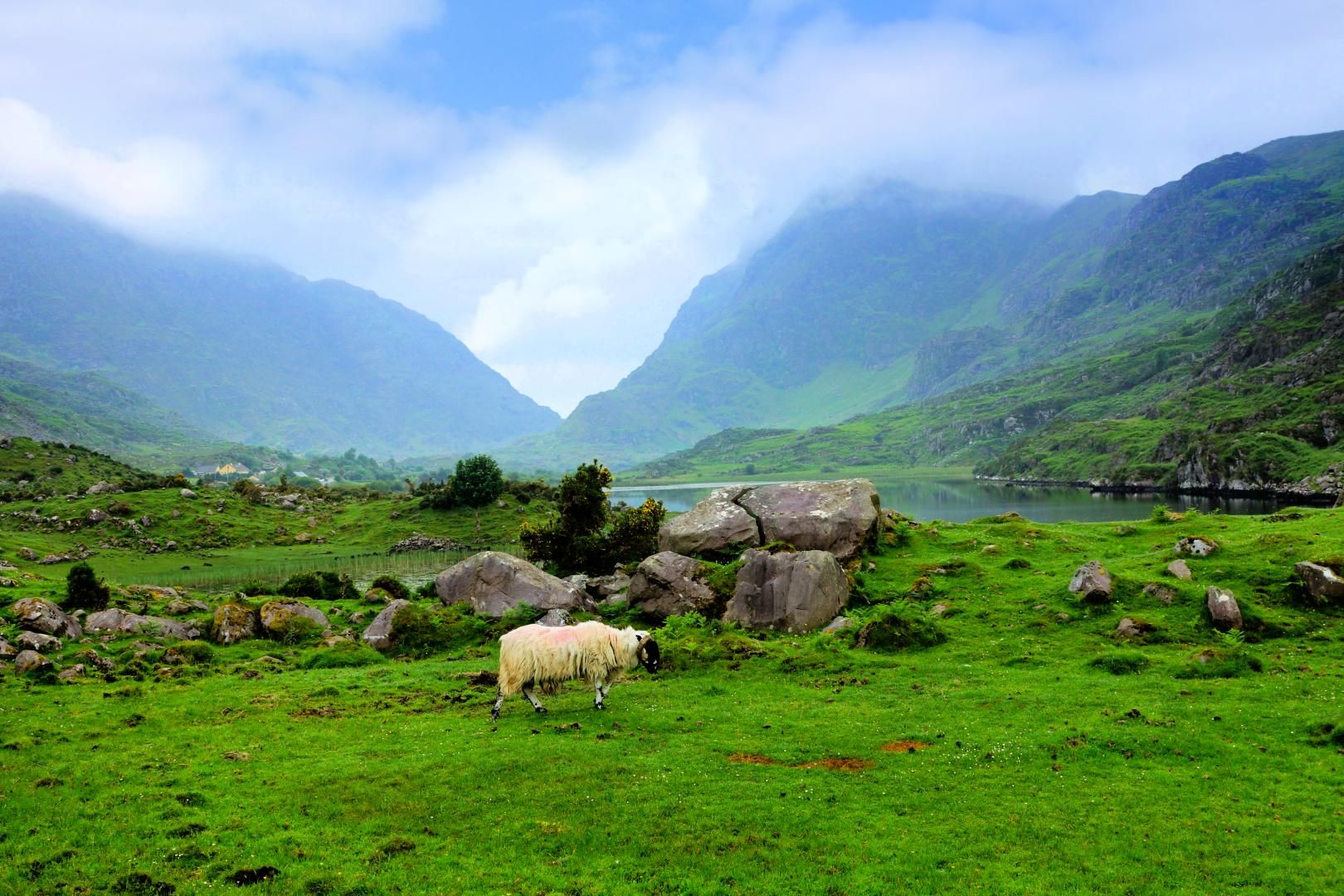 De l'Irlande sauvage aux Highlands d'Écosse 12J/11N - 2027 pas cher photo 4