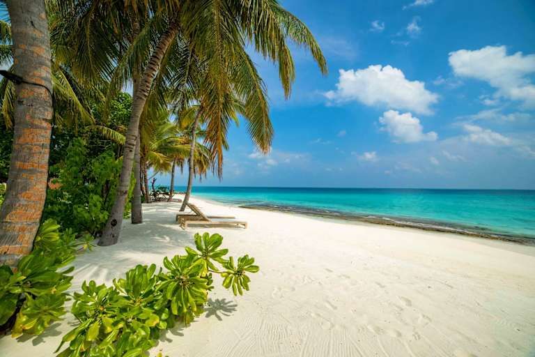 Fiyavalhu Resort Maldives - 4* pas cher photo 11