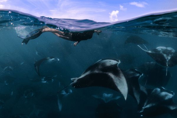 Maldives, Furaveri Maldives 5* - vols flex pas cher photo 23