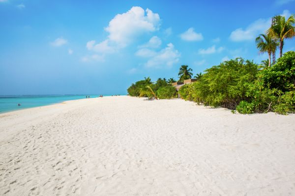 Maldives, Cocoon Maldives 5* - Vols Flex pas cher photo 3