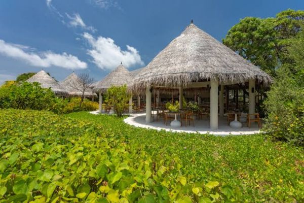 Maldives, Cocoon Maldives 5* - Vols Flex pas cher photo 9