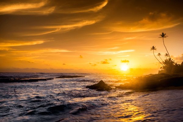 Tangalle, Anantara Peace Haven Resort Sri Lanka 5* - Vols Flex pas cher photo 31