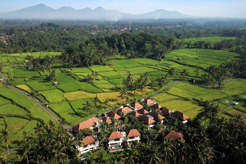 Dedary Resort & Spa Ubud 4* pas cher photo 11