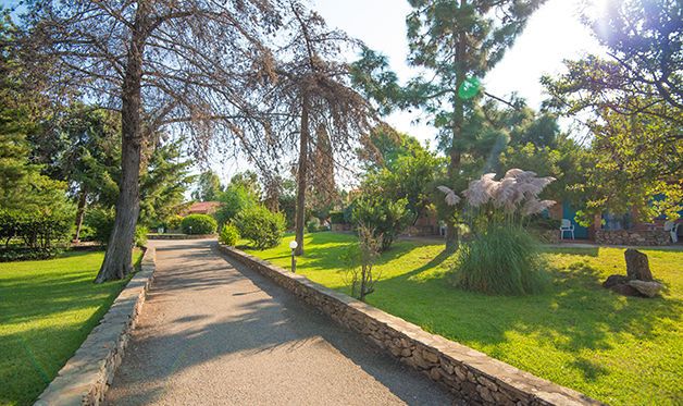 Hôtel Club Lookéa Agrustos Village 4* pas cher photo 6