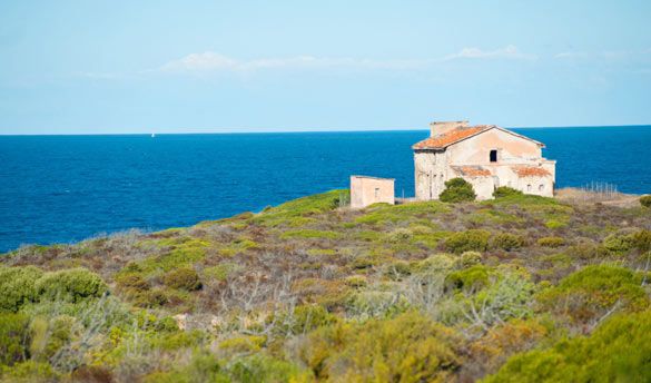 Hôtel Club Lookéa Cala Blu 4* pas cher photo 14