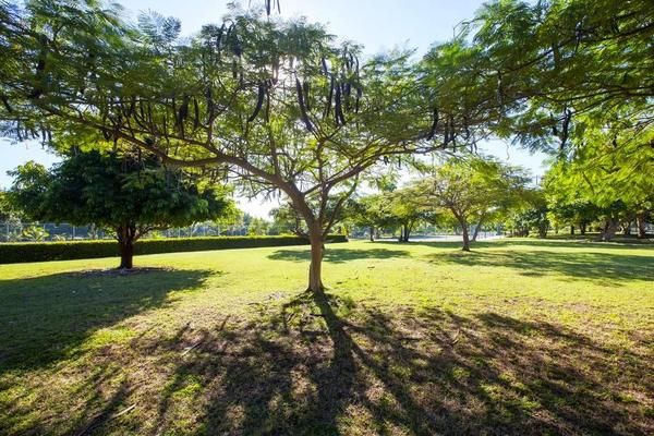 Appart'hôtel Starfish Montehabana 3* pas cher photo 8