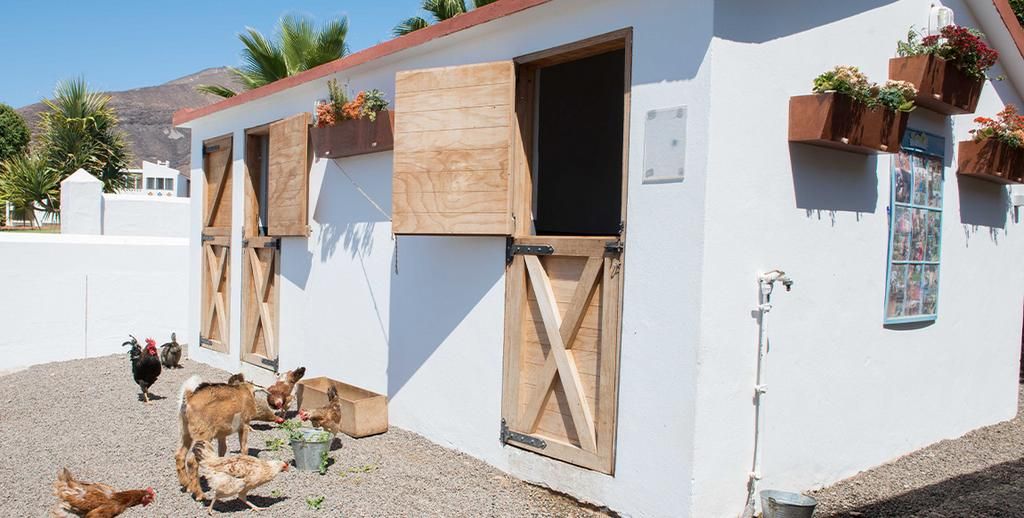 Hôtel Ôclub Experience Jandia Princess 4* pas cher photo 6