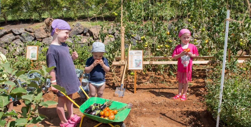 Hôtel Ôclub Experience Jandia Princess 4* pas cher photo 7