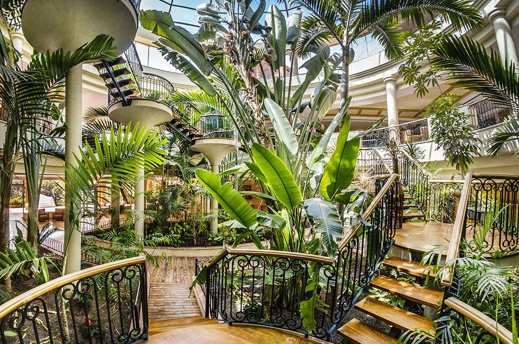 Hôtel Sheraton Fuerteventura Beach Golf et Spa Resort 5* pas cher photo 5