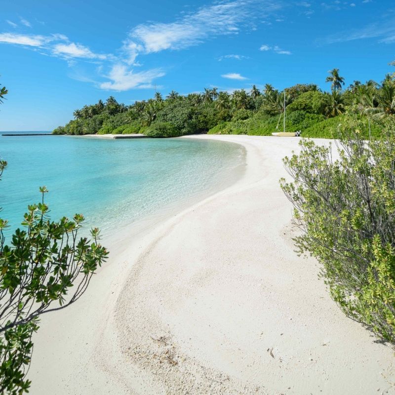 Hôtel Makunudu Island 4* pas cher photo 6