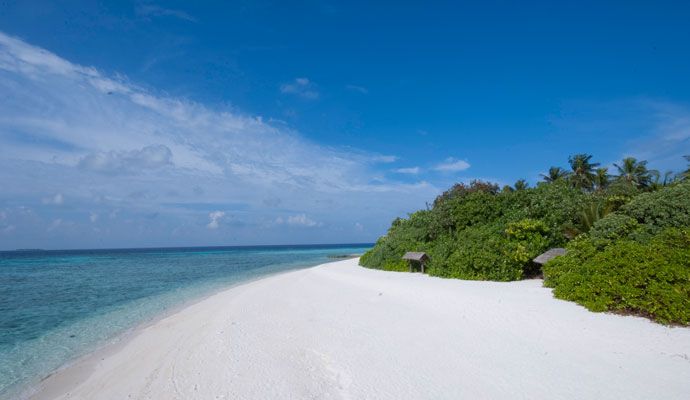 Hôtel Makunudu Island 4* pas cher photo 12