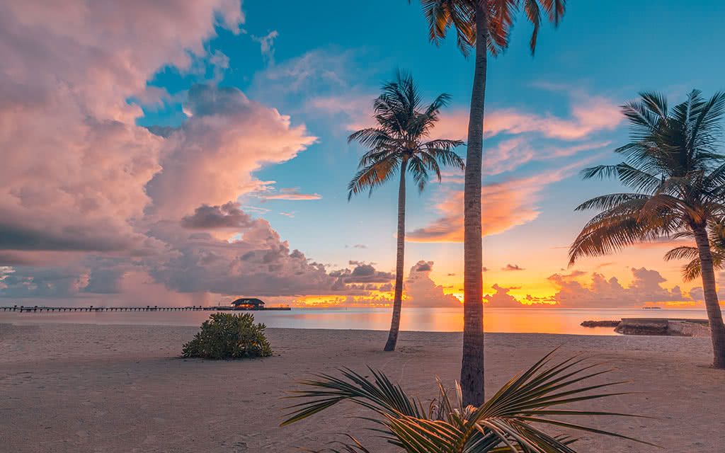 Hôtel Sun Siyam Olhuveli 4* pas cher photo 5