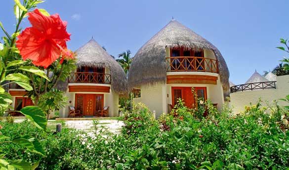 Hôtel Bandos Island Resort et Spa 4* pas cher photo 11