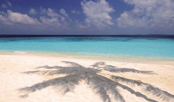 Hôtel Bandos Island Resort et Spa 4* pas cher photo 18