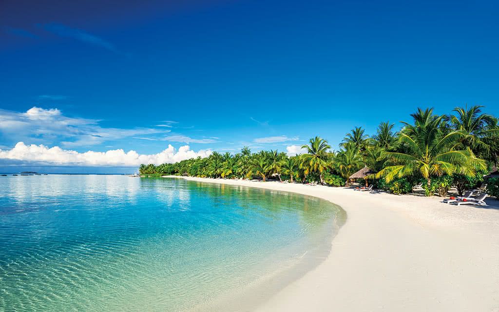 Hôtel Sheraton Maldives Full Moon Resort & Spa 5* pas cher photo 9