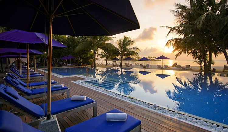 Hôtel Sun Siyam Olhuveli 4* Sup pas cher photo 2