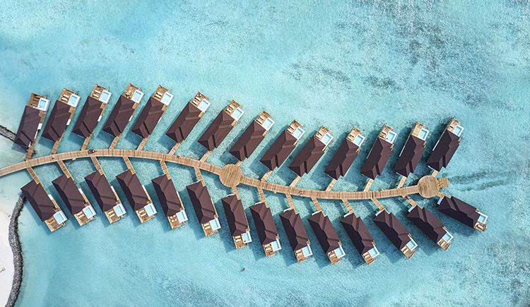 Hôtel Sun Siyam Olhuveli 4* Sup pas cher photo 3