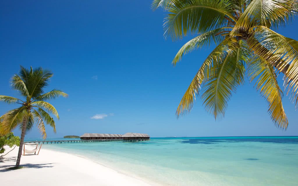 Hôtel LUX South Ari Atoll Resort & Villas 5* pas cher photo 15