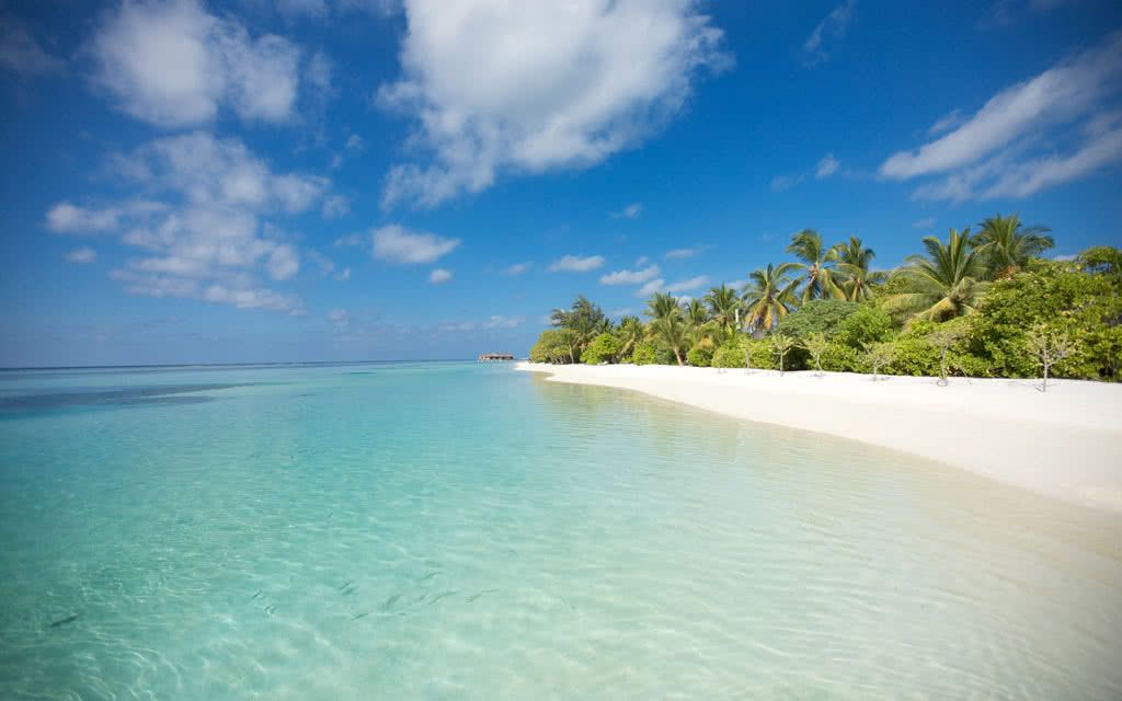 Hôtel LUX South Ari Atoll Resort & Villas 5* pas cher photo 11