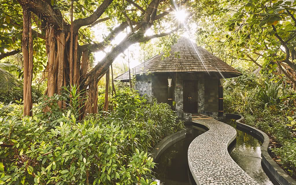 Hôtel The Sun Siyam Iru Fushi 5* pas cher photo 13