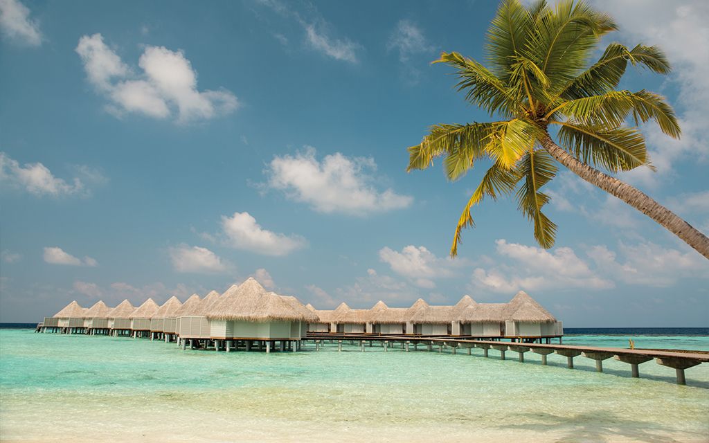 Hôtel Drift Thelu Veliga Retreat 5* pas cher