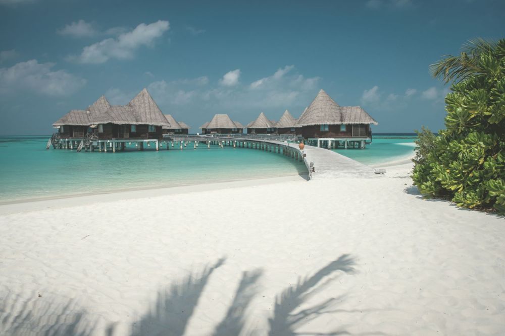 Hôtel Coco Palm Dhuni Kolhu 4* pas cher photo 16