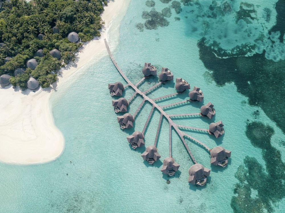 Hôtel Coco Palm Dhuni Kolhu 4* pas cher photo 17