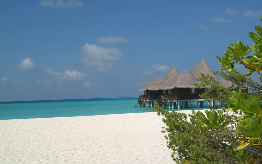 Hôtel Coco Palm Dhuni Kolhu 4* pas cher photo 15