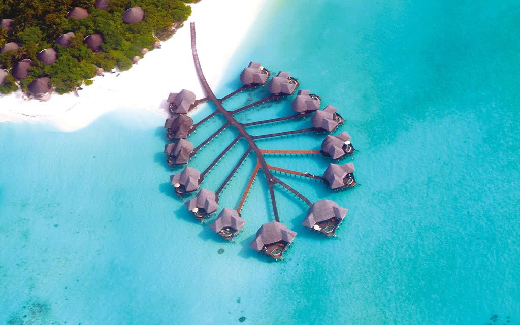 Hôtel Coco Palm Dhuni Kolhu 4* pas cher photo 4