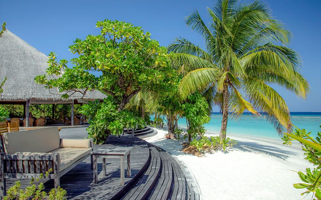 Hôtel Coco Palm Dhuni Kolhu 4* pas cher photo 15