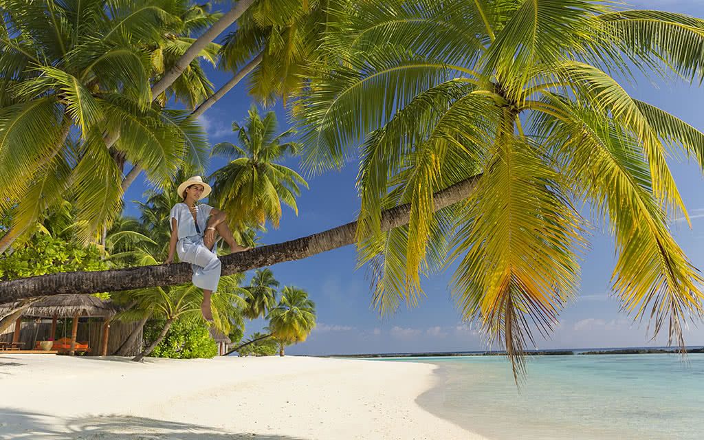 Hôtel Sun Siyam Vilu Reef 5* pas cher photo 6