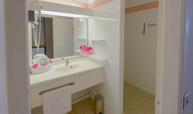 Hôtel La Pagerie 4* pas cher photo 18