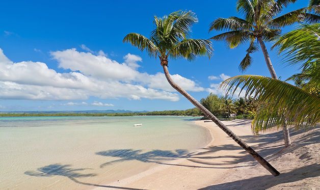 Jalsa Beach Hôtel et Spa 3* sup pas cher photo 11