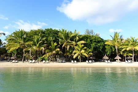 Hôtel The Ravenala Attitude 4* pas cher photo 12