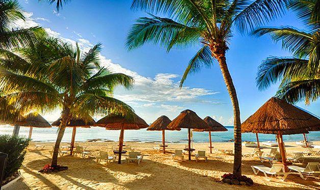 Hôtel Dreams Sands Cancun Resort et Spa 4* pas cher photo 10