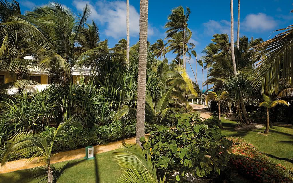 Hôtel Melia Caribe Beach Resort 5* pas cher photo 8