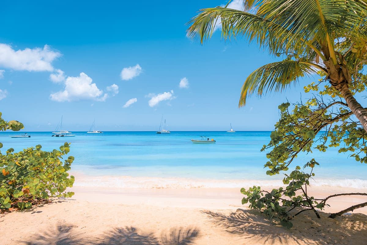 Hôtel Club Lookéa Viva Dominicus Beach 4* pas cher photo 21