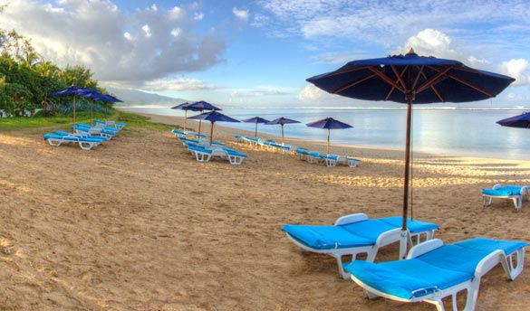 Hôtel Le Nautile Beachfront 3* pas cher photo 10