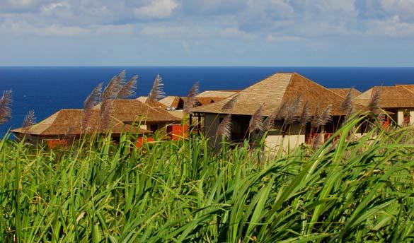 Palm Hotel et Spa 5* pas cher photo 3