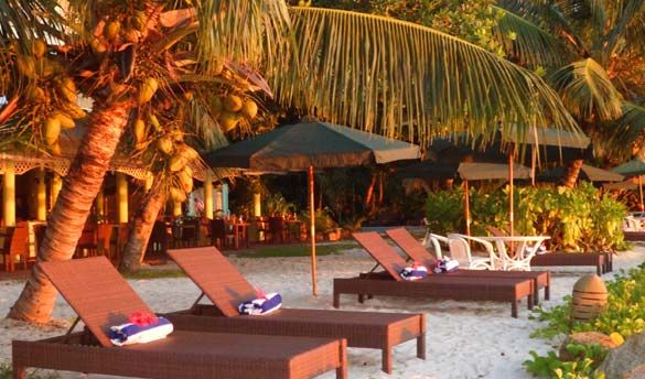 Hotel Palm Beach 2* pas cher