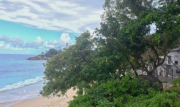 Hôtel Carana Beach 4* pas cher photo 34